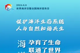 海洋日主题海报来了！图片