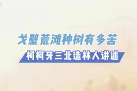 柯柯牙三北造林人讲述戈壁荒滩种树有多苦图片