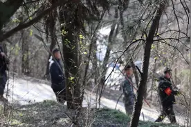黄陵县：打好组合拳 筑牢森林防火“安全墙”图片