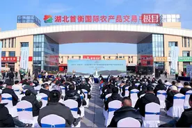 “维C之王”刺梨汁，牵手孝感首衡城图片