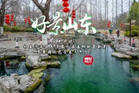 果然视频·好景山东|济南五龙潭泉水潺潺柳树抽芽，感受春天气息图片