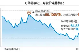 万华化学拟不超60亿间接控股 六国化工、安纳达昨双双涨停图片