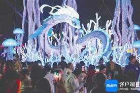海南“花式宠客”！今年首批入岛游客抵琼图片