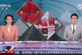 真相来了：“一网打尽”关于草莓的那些谣言 大棚里种出来的草莓是反季水果吗？图片