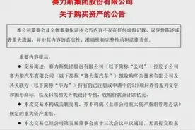 25亿转让商标，华为抛弃赛力斯？图片