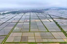全国逾2000处大中型灌区开灌 春灌大面积展开图片