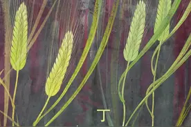 麦田守望，关于麦子，以及一个画展图片