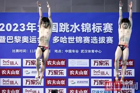 王宗源在全国跳水锦标赛上力夺双冠图片