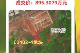 462亩！海口国家高新区四宗地成功出让图片