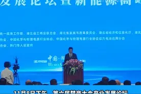 现场签约265.6亿元，荆门打造华中锂电之都再添动能图片