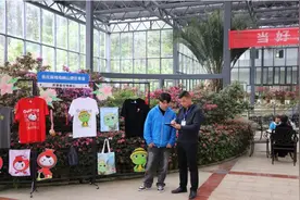 湖北麻城龟峰山风景区：护航“花经济” 助力5A创建图片