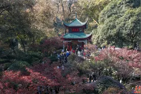 初冬限定！湖南这些地方值得一去图片