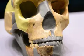观澜亭｜华龙洞人距今约30万年，东亚现代人起源新证据？图片