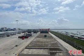 广西自贸试验区钦州港片区五周年：“向海经济”产业集聚发展图片