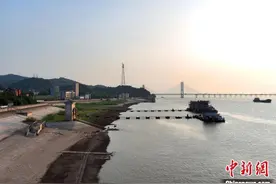 鄱阳湖跌破12米枯水线 保护区鸟类增多图片
