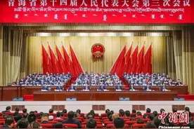 2025地方两会丨青海：国家公园占自然保护地总面积的75%图片
