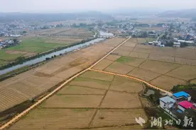 【乡村振兴“加速跑”】端牢“饭碗”！崇阳建设高标准农田夯实农业发展“耕”基图片