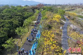 2025河源20公里城市亲水徒步活动举办图片