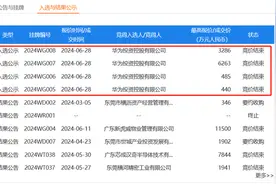 总价超1亿元！华为连夺松山湖4宗教育用地，总面积超10万㎡图片