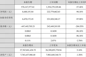 深振业A：2023年上半年净利润848.82万元 同比下降96.19%图片