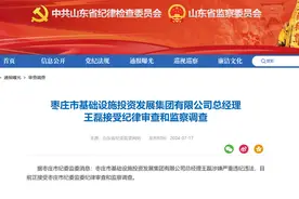 枣庄市基础设施投资发展集团有限公司总经理王磊被查图片
