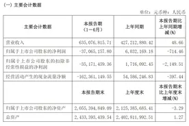 V观财报｜莱绅通灵上半年净利润同比大降714.46%图片