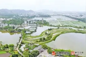 牛！玉林这些镇，西部50强图片