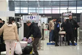 土鸡、土鸭能带上动车吗？图片