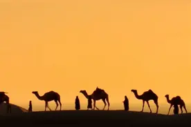 丝路上的班列丨满州里国门：在时间的原野上感受瞬间与永恒图片