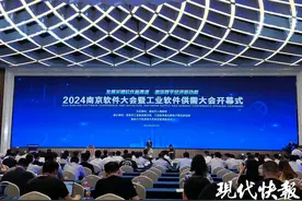2024南京软件大会开幕，软件名城上“新”发布多项研究成果图片