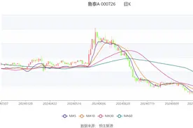 鲁泰A：2024年上半年净利润同比下降23.50% 拟10派1元图片