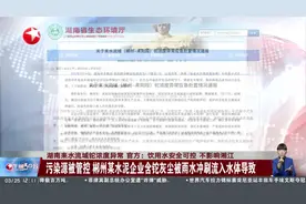 湖南耒水流域铊浓度异常 官方：饮用水安全可控 不影响湘江 污染源被管控 郴州某水泥企业含铊灰尘被雨水冲刷流入水体导致视频封面