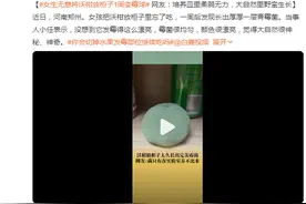 女生无意将沃柑放柜子1周变霉球：霉菌很均匀，颜色很漂亮图片