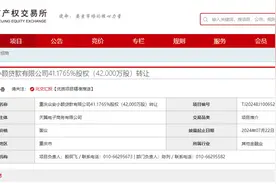 天翼电子商务拟出售众安小贷41%股权 全面退出股东行列图片