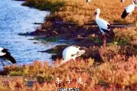 东台一单位荣膺“全国优秀”图片