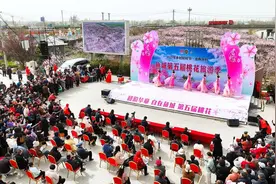 鱼台：“赏花经济”激活消费新活力图片