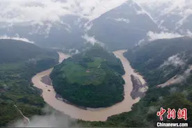 西藏边城墨脱：“一片茶叶”兴产业图片
