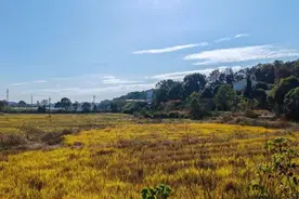 专家赴长沙县安沙镇调研范旭东祖居地“淳化都四甲土地湾”图片