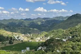 坡稿村：人居环境提质增颜 绘就和美乡村画卷图片