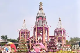 魔都花海上线，一整个惊艳住了！是谁打翻了调色盘图片