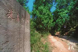 万千气象“画”四川⑩｜翠云廊：一部“活”的中国生态文明史图片