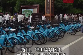 氢能自行车现身中山陵景区，游客通行难有望缓解？图片