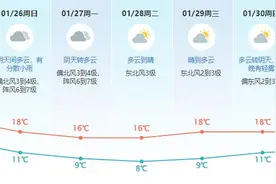 今早“速冻”，预计除夕最冷！东莞又「下雪」了？图片