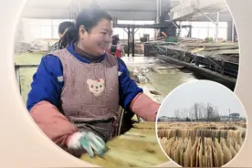 省界行丨一河两岸一座城——固始和叶集从“两个天地”到“双向奔赴”图片