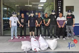 江门鹤山：4男子盗窃150公斤铁树果被警方抓获图片