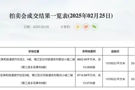 溢价率30.57%，成都第三次组合出让宅地7.2亿元成交图片