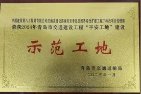 沈海高速项目荣获2024年青岛市交通建设工程“平安工地”建设示范工地图片