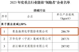 海湾化学再夺国家级烧碱行业能效“领跑者”第一名图片