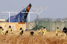 韩失事客机两引擎内均发现鸟羽 两个黑匣子或因此停录图片
