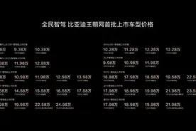 比亚迪发布全民智驾战略 加速高阶智驾普及图片